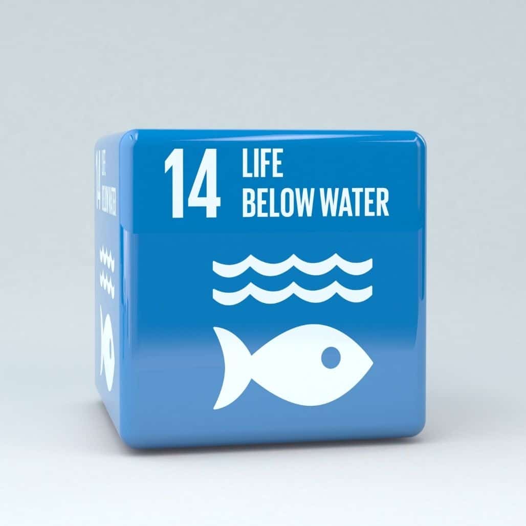 UN Sustainability Goal Life Below Water