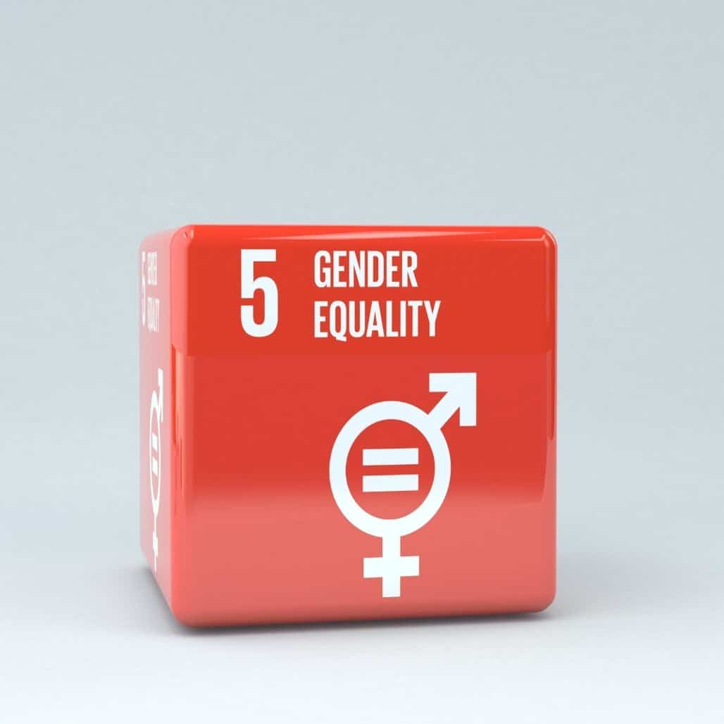 UN Sustainability Goal Gender Equality