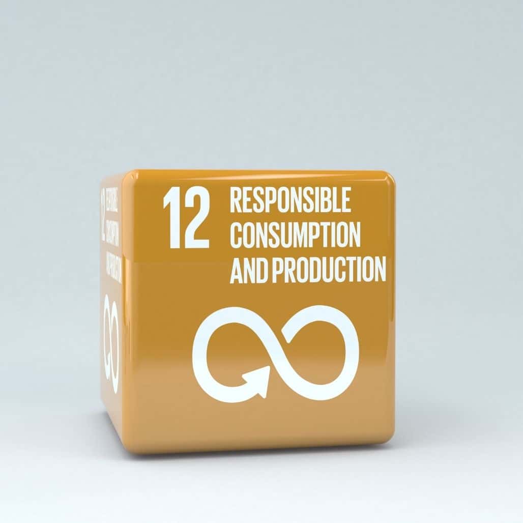 UN Sustainability Goal Responsible Consumption and Production