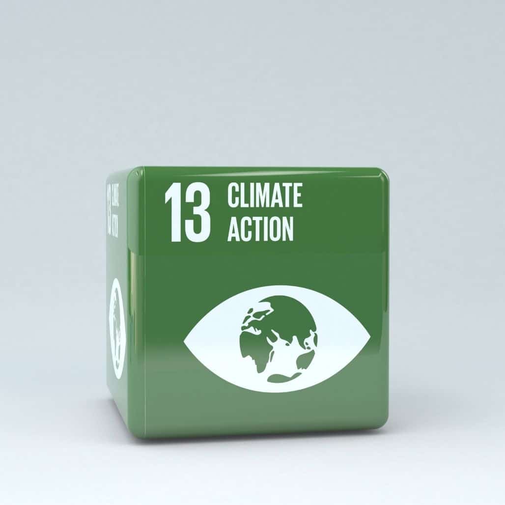 UN Sustainability Goal Climate Action