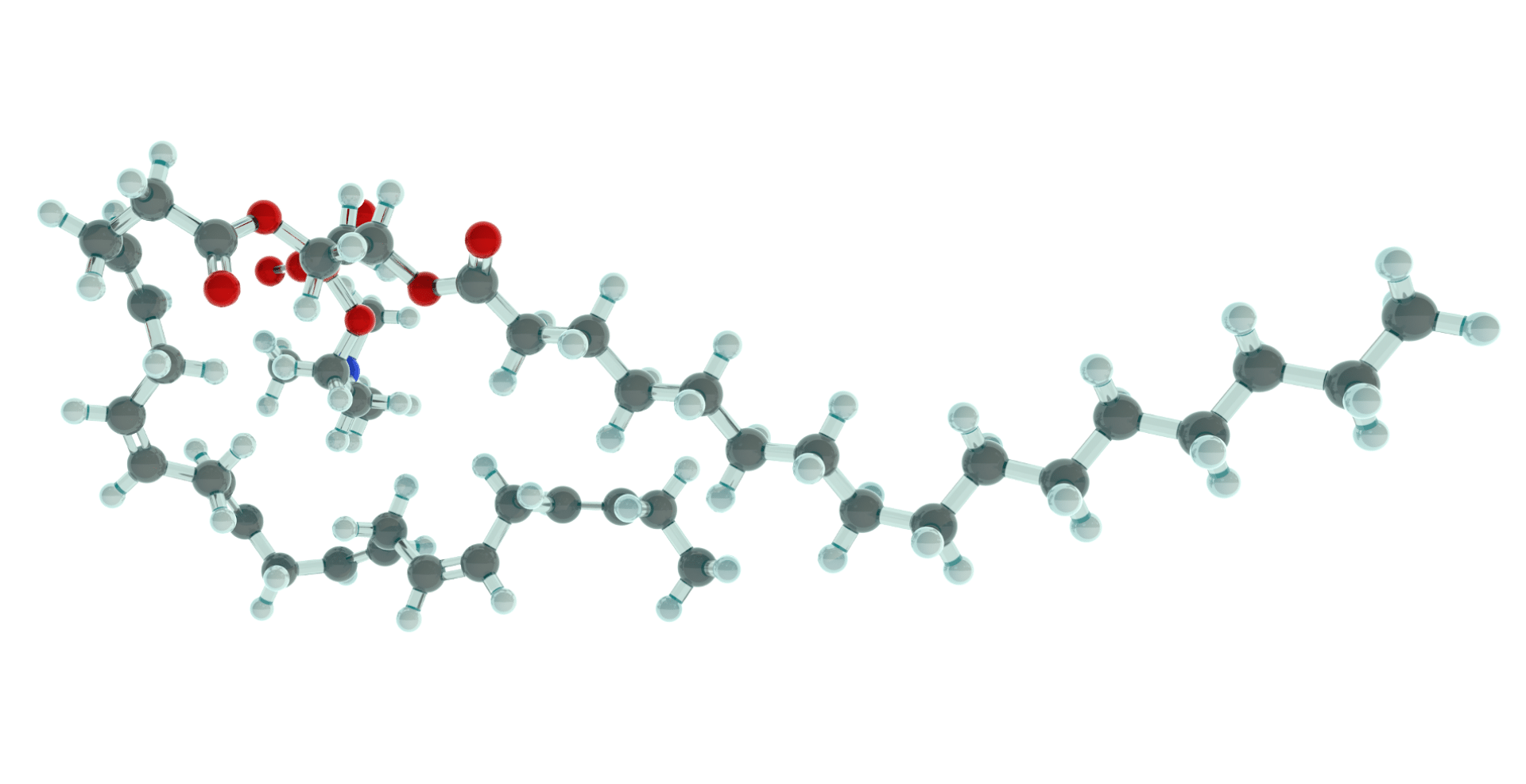 STANDARD STØRRELSE ARCTICNUTRITION.NO (6)